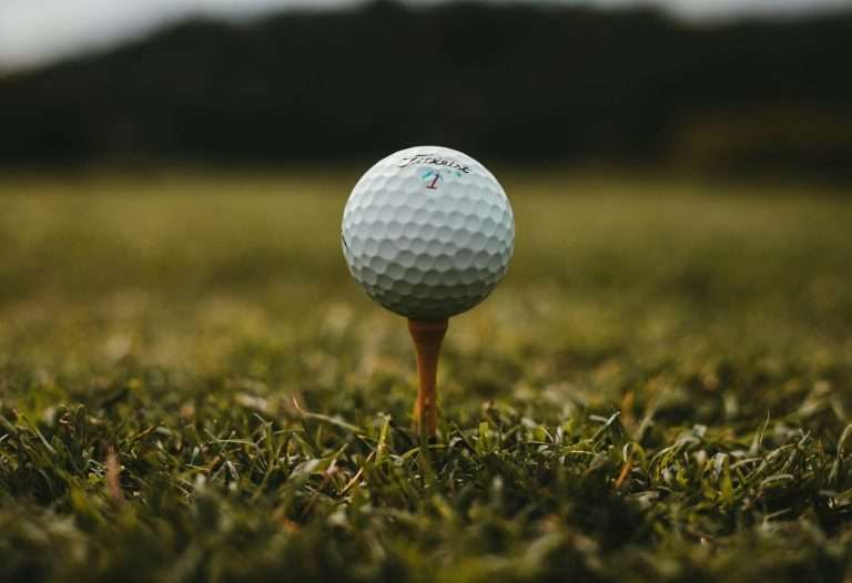 Golf Ball Collecting: Score a Hole in One!