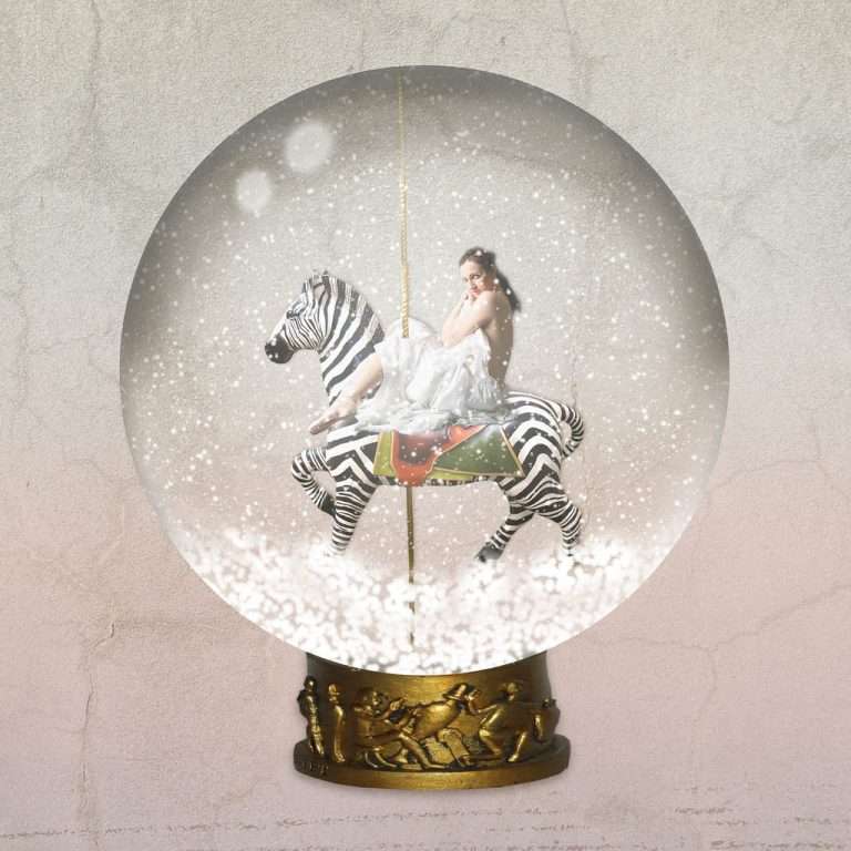 ANDY – SNOW GLOBE COLLECTOR