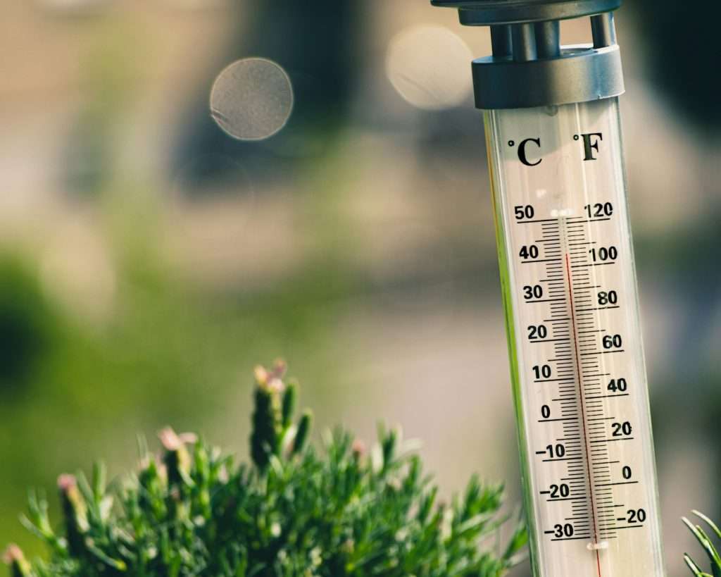 photography of thermometer on plant