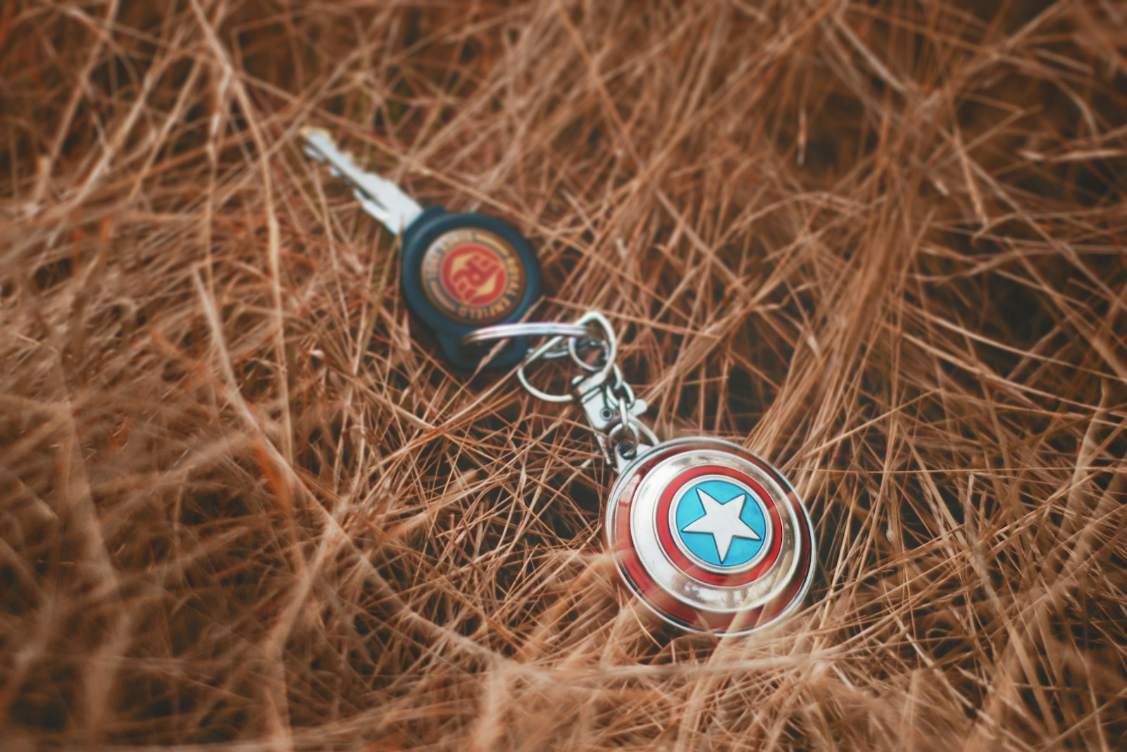 black and silver key on brown dried grass