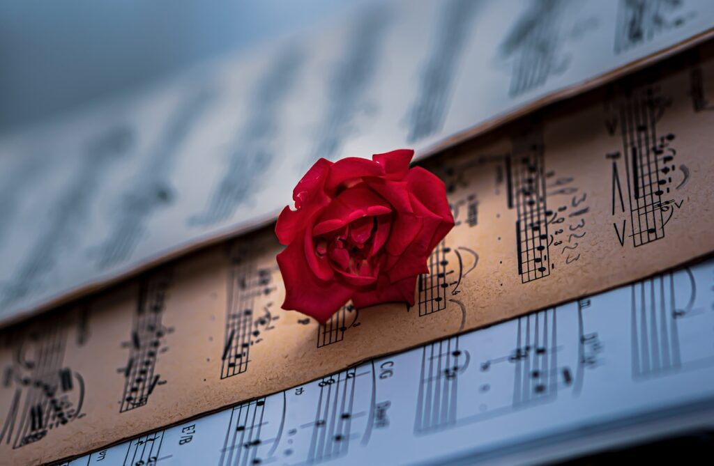 sheet music, red rose, classical music