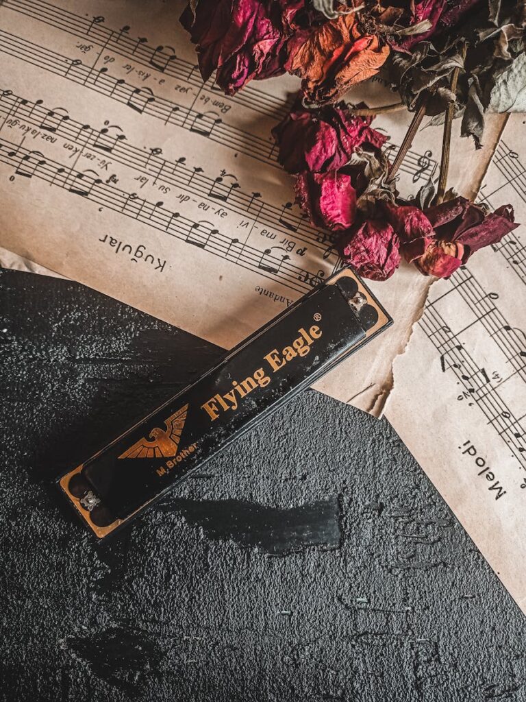 Harmonica, Dry Flowers and Musical Notes