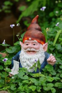 Garden Gnome among Plants